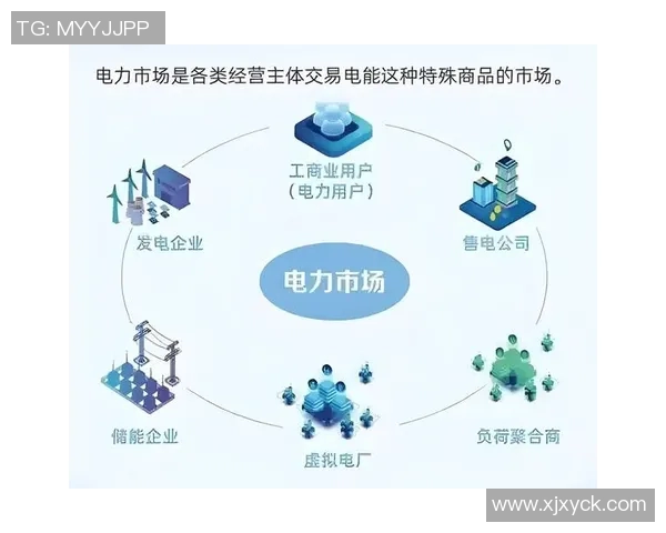 以交易为核心的市场变革与未来发展趋势探讨