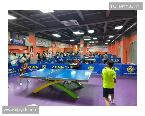 武汉乒乓球队实力分析与发展潜力探讨聚焦乒乓球运动的未来