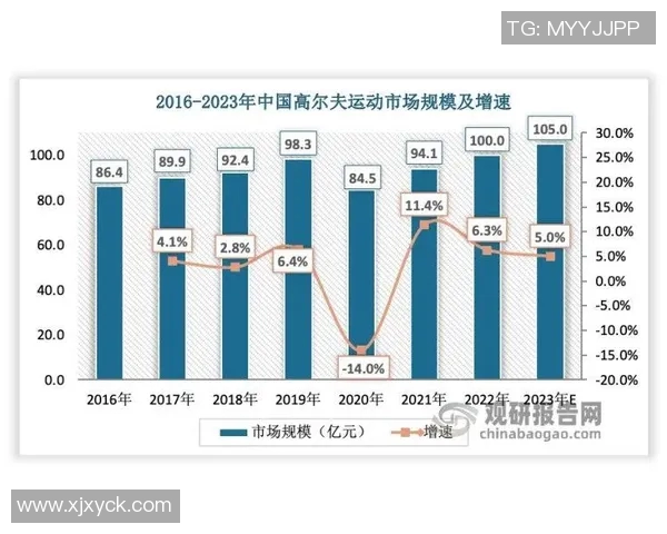 上海网球队进攻策略解析及其在网球赛事中的表现分析