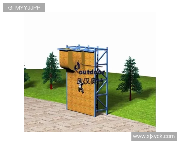 武汉攀岩队的蜕变之旅：从传统训练到现代竞技的全新探索