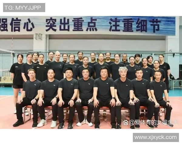 上海排球队比赛经验的创新与变革引发热议