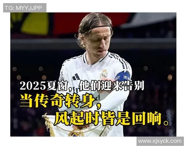 书中描绘的足球明星有哪些他们的传奇故事与成就解析