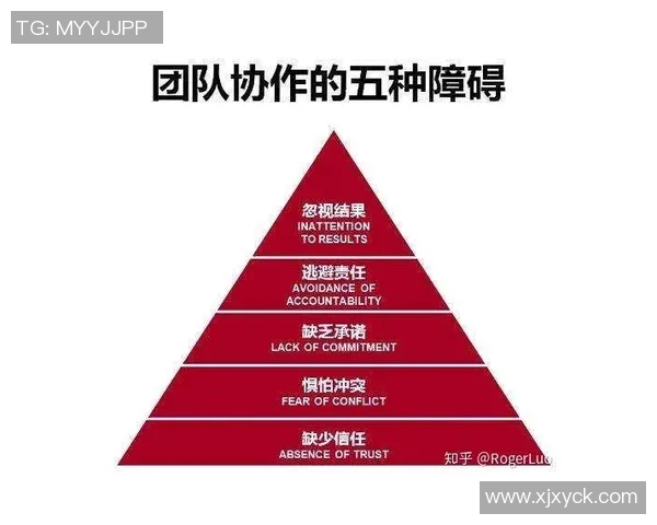 南京排球队的节奏变革引发热议新策略与新风貌的碰撞与融合